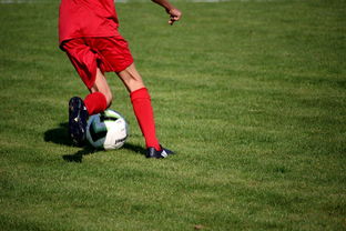 九游网-国脚待遇结构调整引导更多球员留在国内发展，国家队国脚